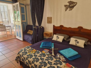 Appartement BUMBU 626 anse des rochers